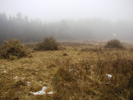 vor Verbrennen