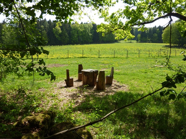 Sitzgruppe in Waldlichtung